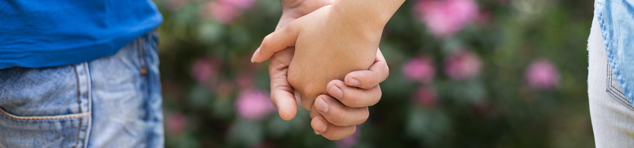 Bij Coaching Lemelerberg werk ik met Integrative Behavioural Couple Therapy, kortweg IBCT.